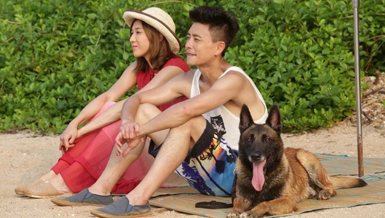 ซีรี่ย์จีน เคไนน์ สี่ขาผู้พิทักษ์ K9 Cop 2016 พากย์ไทย EP.1-20 จบ | Ep.13 เคไนน์ สี่ขาผู้พิทักษ์ K9 Cop 2016 พากษ์ไทย | Full HD 1080p ซีรี่ย์จีน เคไนน์ สี่ขาผู้พิทักษ์ K9 Cop 2016 พากย์ไทย EP.1-20 จบ Ep.13 เคไนน์ สี่ขาผู้พิทักษ์ K9 Cop 2016 พากษ์ไทย | ดูซีรี่ย์ออนไลน์ HD พากย์ไทย ซับไทย