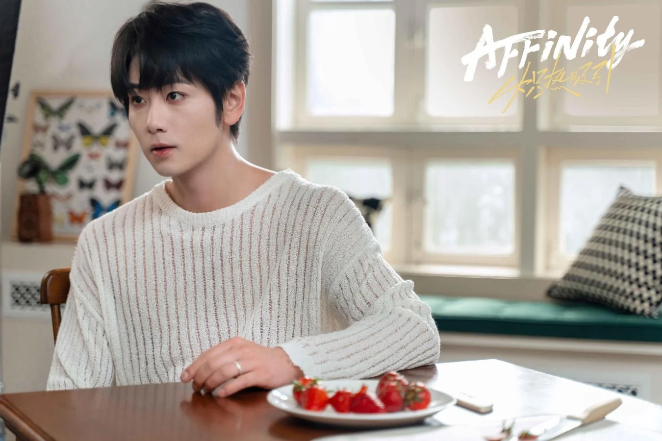 ซีรี่ย์จีน โอบรักแรงเสน่หา Affinity (2026) พากย์ไทย EP.1-40 จบ | EP.08 โอบรักแรงเสน่หา Affinity (2026) พากย์ไทย | Full HD 1080p ซีรี่ย์จีน โอบรักแรงเสน่หา Affinity (2026) พากย์ไทย EP.1-40 จบ EP.08 โอบรักแรงเสน่หา Affinity (2026) พากย์ไทย | ดูซีรี่ย์ออนไลน์ HD พากย์ไทย ซับไทย