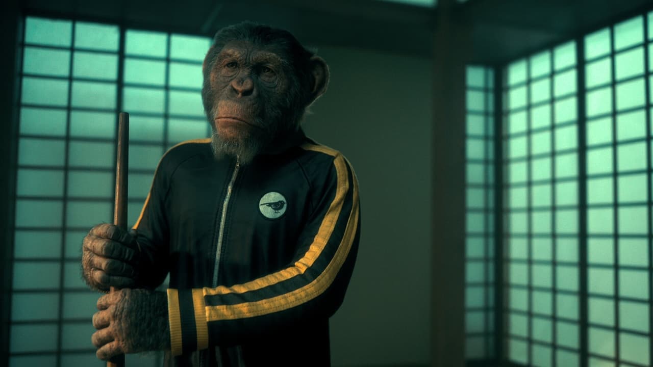 ซีรี่ย์ฝรั่ง ดิ อัมเบรลลา อคาเดมี่ ภาค 3 The Umbrella Academy Season 3 (2022) พากย์ไทย EP.1-10 จบ | EP.06 ดิ อัมเบรลลา อคาเดมี่ ภาค 3 The Umbrella Academy Season 3 (2022) พากย์ไทย | Full HD 1080p ซีรี่ย์ฝรั่ง ดิ อัมเบรลลา อคาเดมี่ ภาค 3 The Umbrella Academy Season 3 (2022) พากย์ไทย EP.1-10 จบ EP.06 ดิ อัมเบรลลา อคาเดมี่ ภาค 3 The Umbrella Academy Season 3 (2022) พากย์ไทย | ดูซีรี่ย์ออนไลน์ HD พากย์ไทย ซับไทย