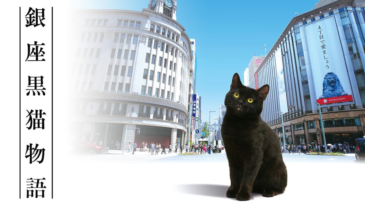 ซีรี่ย์ญี่ปุ่น แมวเหมียวกินซ่า GINZA CAT พากย์ไทย EP.1-5 จบ | ภาพพื้นหลังซีรี่ย์ หนังยอดฮิต (2020) HD | ดูซีรี่ย์ออนไลน์