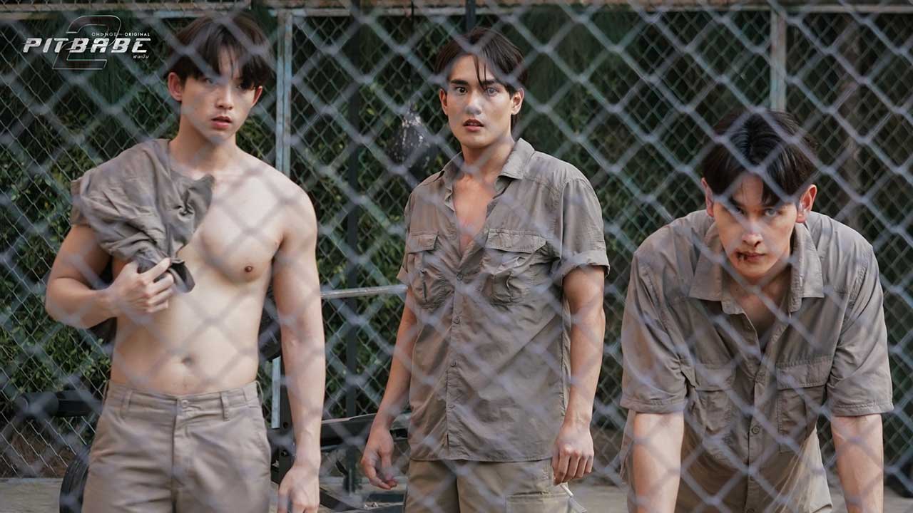 ซีรี่ย์วาย พิษเบ๊บ 2 Pit Babe The Series 2 (2025) พากย์ไทย EP.1-13 จบ (2025) | ดูซีรี่ย์ออนไลน์ HD พากย์ไทย ซับไทย 24 ชม. ซีรี่ย์วาย พิษเบ๊บ 2 Pit Babe The Series 2 (2025) พากย์ไทย EP.1-13 จบ | ภาพพื้นหลังซีรี่ย์ ซีรี่ย์วาย (2025) HD | ดูซีรี่ย์ออนไลน์