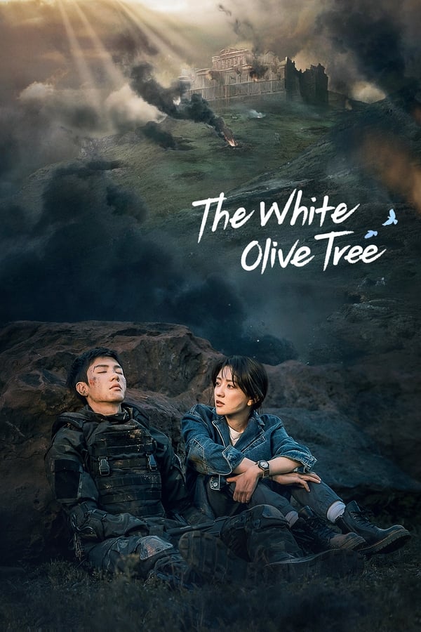 ปลูกรักพักใจ ใต้ต้นมะกอกขาว The White Olive Tree